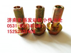 612639000047,M10放氣管空心螺栓,濟(jì)南耀順汽車(chē)配件有限公司（重汽、濰柴發(fā)動(dòng)機(jī)小件專賣(mài)）