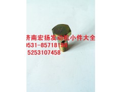 VG1540080081,M8重汽回油管空心螺栓,濟(jì)南耀順汽車配件有限公司（重汽、濰柴發(fā)動(dòng)機(jī)小件專賣）