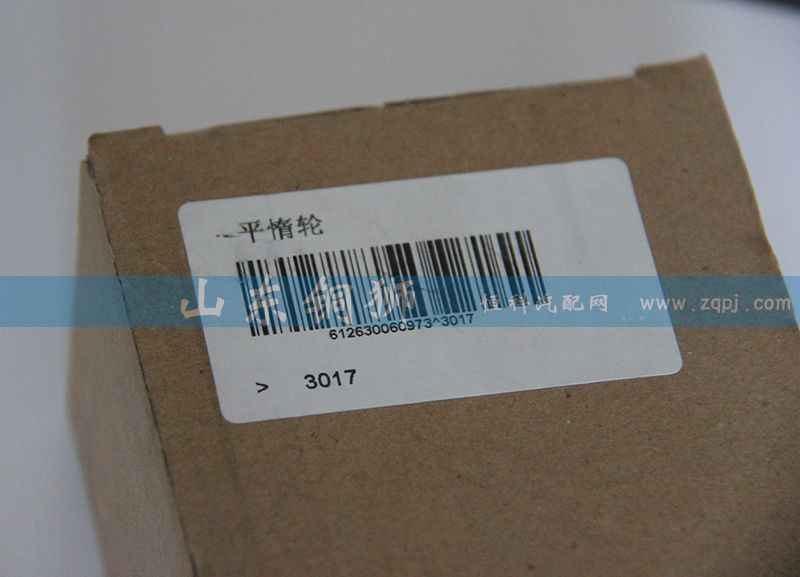 612630060973,平惰輪,山東銅獅汽車零部件有限公司