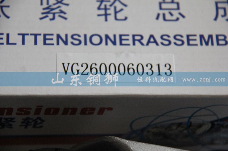 VG2600060313,漲緊輪總成,山東銅獅汽車零部件有限公司