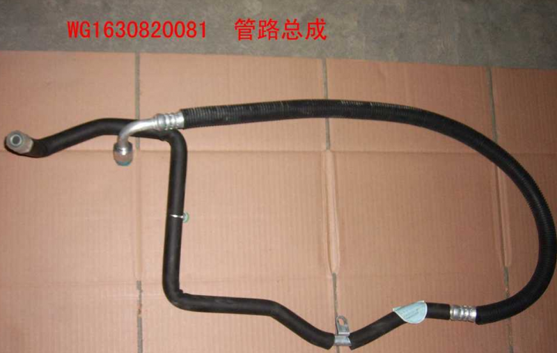 AZ1630820081 蒸-壓連接管(協(xié)眾或十堰)/AZ1630820081