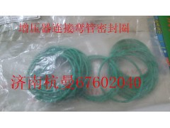 VG190320035,增壓器連接彎管密封圈,濟南杭曼汽車配件有限公司