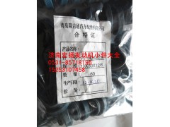 VG1540040022A,骨架油封,濟南耀順汽車配件有限公司（重汽、濰柴發(fā)動機小件專賣）