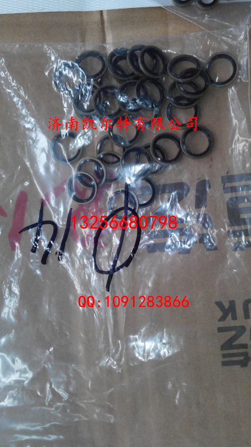 VG2600080200,密封墊圈,濟南凱爾特商貿有限公司