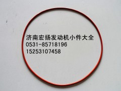 612630030044,WP12噴油泵密封圈,濟(jì)南耀順汽車配件有限公司（重汽、濰柴發(fā)動機(jī)小件專賣）