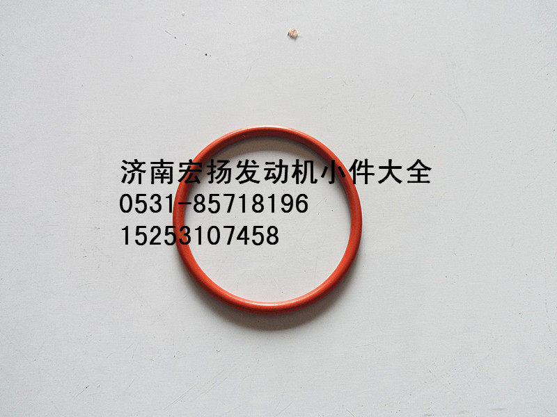 VG1246070010,D12機(jī)油冷卻器芯密封圈,濟(jì)南耀順汽車配件有限公司（重汽、濰柴發(fā)動(dòng)機(jī)小件專賣）