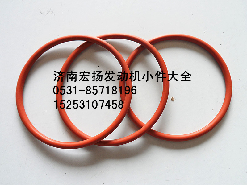 VG1246060025,D12節(jié)溫器密封圈,濟(jì)南耀順汽車配件有限公司（重汽、濰柴發(fā)動(dòng)機(jī)小件專賣）