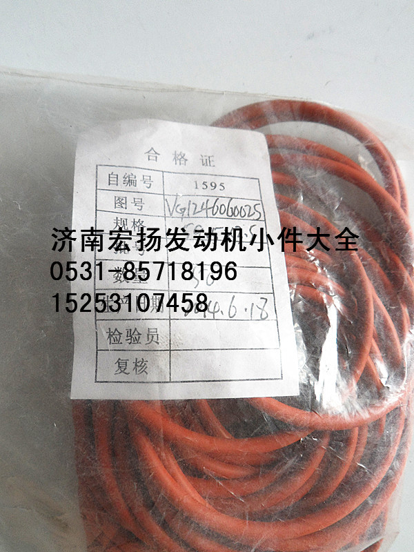 VG1246060025,D12節(jié)溫器密封圈,濟(jì)南耀順汽車配件有限公司（重汽、濰柴發(fā)動(dòng)機(jī)小件專賣）