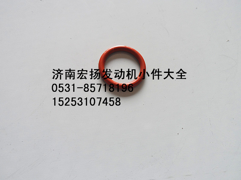 612639000019,WP12機油泵密封圈,濟南耀順汽車配件有限公司（重汽、濰柴發(fā)動機小件專賣）
