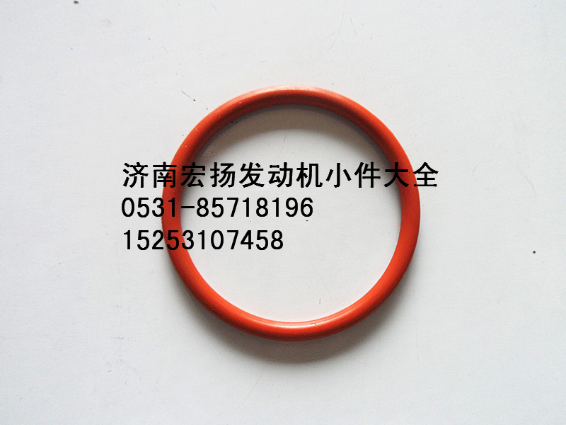 612630010107,WP12缸體密封圈,濟(jì)南耀順汽車配件有限公司（重汽、濰柴發(fā)動(dòng)機(jī)小件專賣）