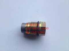 1110010015,共軌管泄壓閥,濟(jì)南信發(fā)汽車(chē)配件有限公司
