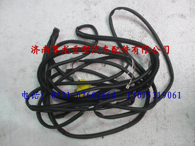 81.25416.6388,陜汽重卡德龍奧龍駕駛室右頂蓬電線(xiàn)束,濟(jì)南尊龍(原天盛)陜汽配件銷(xiāo)售有限公司
