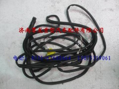 81.25416.6388,陜汽重卡德龍奧龍駕駛室右頂蓬電線(xiàn)束,濟(jì)南尊龍(原天盛)陜汽配件銷(xiāo)售有限公司