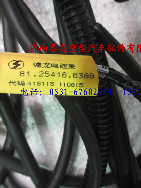 81.25416.6388,陜汽重卡德龍奧龍駕駛室右頂蓬電線(xiàn)束,濟(jì)南尊龍(原天盛)陜汽配件銷(xiāo)售有限公司