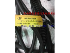 81.25416.6388,陜汽重卡德龍奧龍駕駛室右頂蓬電線(xiàn)束,濟(jì)南尊龍(原天盛)陜汽配件銷(xiāo)售有限公司
