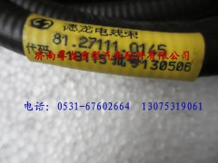 81.27111.0145,陜汽德龍行駛記錄儀底盤電纜,濟(jì)南尊龍(原天盛)陜汽配件銷售有限公司
