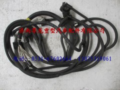 81.25426.6193,陜汽重卡德龍奧龍左前部分電線束,濟(jì)南尊龍(原天盛)陜汽配件銷(xiāo)售有限公司