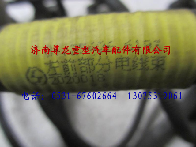81.25426.6193,陜汽重卡德龍奧龍左前部分電線束,濟(jì)南尊龍(原天盛)陜汽配件銷(xiāo)售有限公司