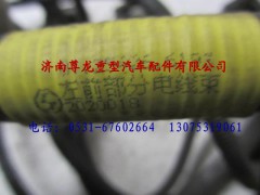 81.25426.6193,陜汽重卡德龍奧龍左前部分電線束,濟(jì)南尊龍(原天盛)陜汽配件銷(xiāo)售有限公司