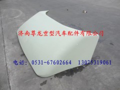 81.62900.6145,陜汽德龍導(dǎo)流罩總成,濟(jì)南尊龍(原天盛)陜汽配件銷售有限公司