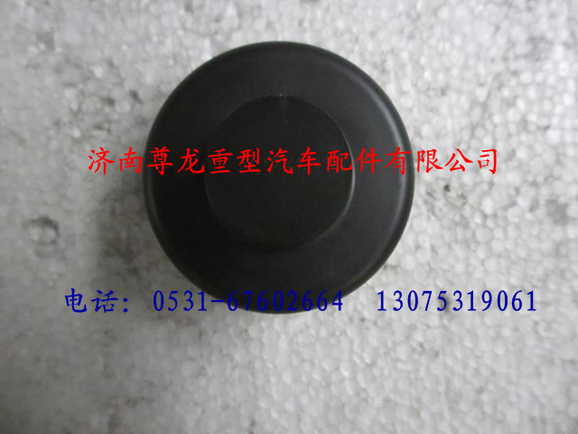 81.52101.6274,,濟(jì)南尊龍(原天盛)陜汽配件銷售有限公司