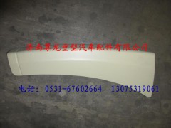 81.61510.5161,陜汽德龍左裝飾件總成,濟(jì)南尊龍(原天盛)陜汽配件銷(xiāo)售有限公司