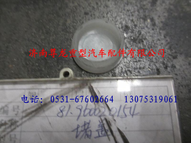 81.96002.0154,,濟(jì)南尊龍(原天盛)陜汽配件銷售有限公司