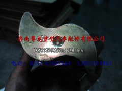 DZ9112340283,陜汽漢德車橋制動(dòng)凸輪軸（左）,濟(jì)南尊龍(原天盛)陜汽配件銷售有限公司