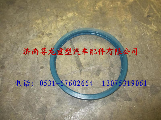 DZ90129340063,陜汽德龍組合油封（左）,濟(jì)南尊龍(原天盛)陜汽配件銷(xiāo)售有限公司