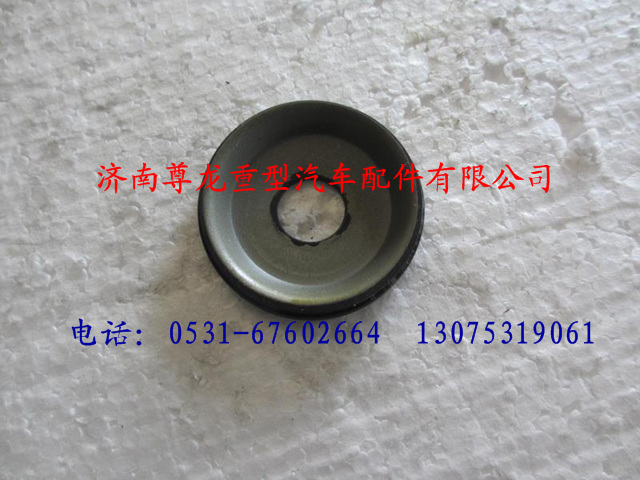 DZ9100410336,陜汽德龍5.5T主銷堵蓋總成,濟(jì)南尊龍(原天盛)陜汽配件銷售有限公司