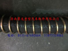 DZ9100360173,陜汽德龍軟管總成,濟南尊龍(原天盛)陜汽配件銷售有限公司