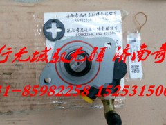 LG9704471145,轉(zhuǎn)向泵 配重汽輕卡,濟南奇昌汽車配件有限公司