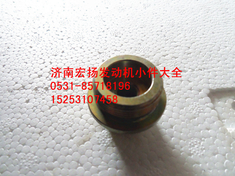 612600070160,WP10六角螺塞,濟(jì)南耀順汽車配件有限公司（重汽、濰柴發(fā)動(dòng)機(jī)小件專賣）