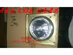NZ9525720011,左前霧燈遠(yuǎn)光燈總成,濟南奇昌汽車配件有限公司