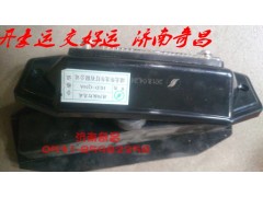 NZ9525790040,LED遮陽罩燈豪運,濟(jì)南奇昌汽車配件有限公司