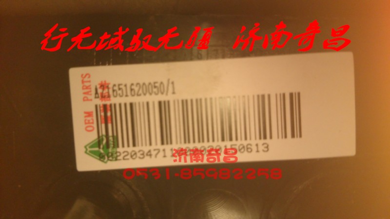AZ1651620060,裝飾壓板左右豪瀚,濟(jì)南奇昌汽車(chē)配件有限公司