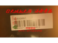 AZ1651620060,裝飾壓板左右豪瀚,濟(jì)南奇昌汽車(chē)配件有限公司