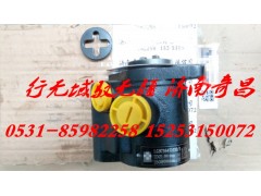 LG9716471030,轉(zhuǎn)向泵 配重汽輕卡,濟(jì)南奇昌汽車配件有限公司