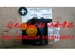 LG9704471040,轉(zhuǎn)向泵 配重汽輕卡,濟南奇昌汽車配件有限公司