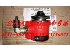 LG9704471060,轉(zhuǎn)向泵 配重汽輕卡,濟南奇昌汽車配件有限公司