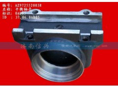 AZ9725520038,平衡軸殼,濟(jì)南信興汽車配件貿(mào)易有限公司