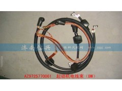 AZ9725770061,起動機電線束（BW）,濟南信興汽車配件貿(mào)易有限公司