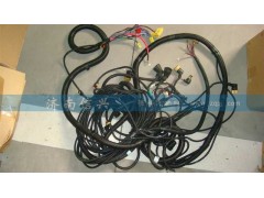 AZ9925771137,底盤線束(S32、HW橋),濟(jì)南信興汽車配件貿(mào)易有限公司