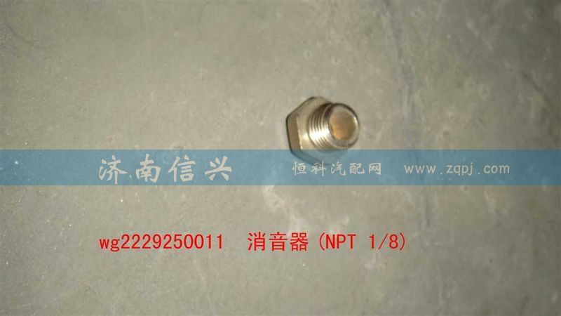 WG2229250011,消音器(NPT 1、8),濟(jì)南信興汽車配件貿(mào)易有限公司
