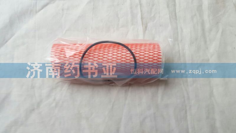 WG9925553110,低壓濾芯CNC,濟(jì)南約書亞汽車配件有限公司（原華魯信業(yè)）