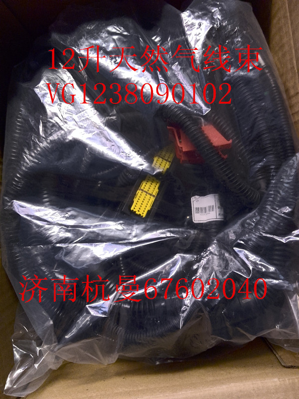 VG1238090102,天然氣線束,濟(jì)南杭曼汽車配件有限公司