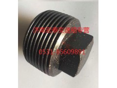 AZ2229220013,螺塞,濟(jì)南宏泰變速箱專(zhuān)營(yíng)店