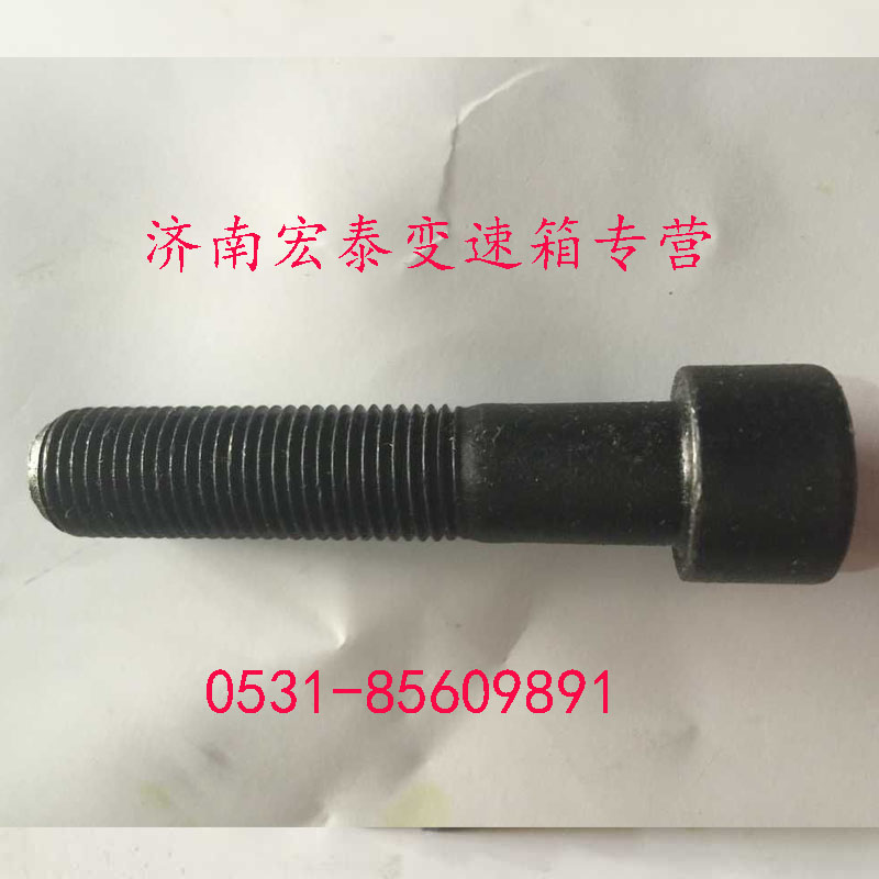 AZ9003821250,內(nèi)六角圓柱頭螺釘,濟(jì)南宏泰變速箱專營(yíng)店