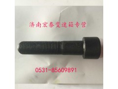 AZ9003821250,內(nèi)六角圓柱頭螺釘,濟(jì)南宏泰變速箱專營(yíng)店