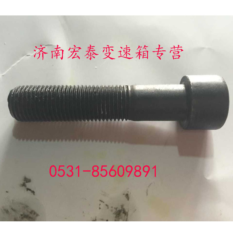 AZ9003821250,內(nèi)六角圓柱頭螺釘,濟(jì)南宏泰變速箱專營(yíng)店